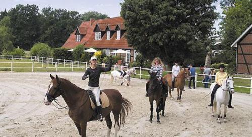 Heidehotel Gut Landliebe Hermannsburg Dış mekan fotoğraf