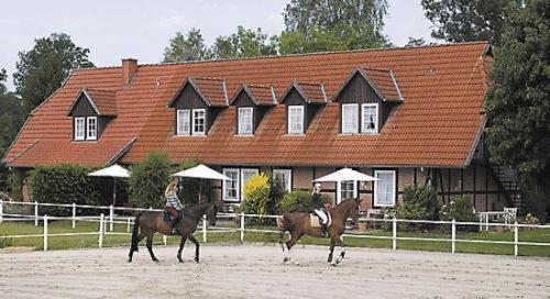 Heidehotel Gut Landliebe Hermannsburg Dış mekan fotoğraf